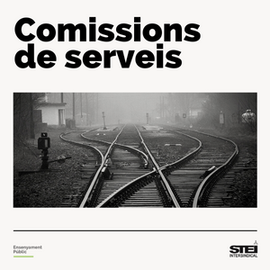 Comissions de serveis