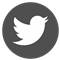 icona twitter